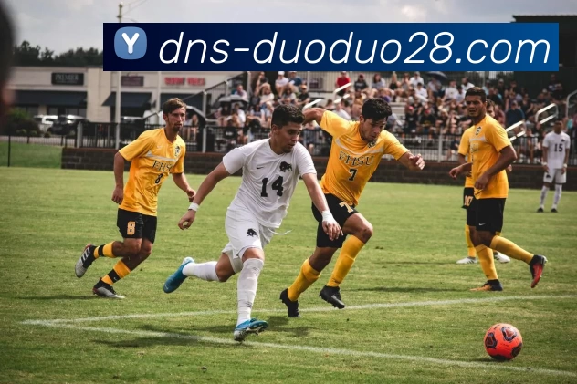 多多28发展历程